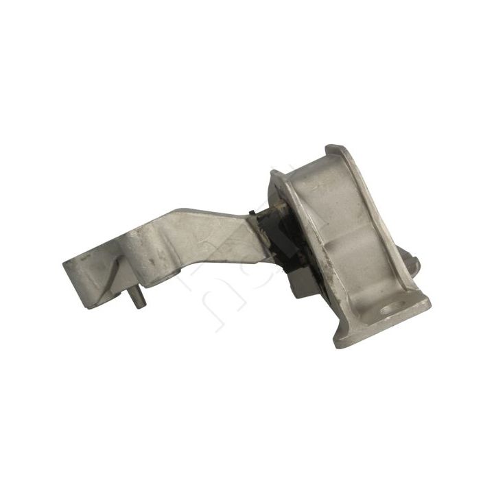 Variklio montavimas HART 358 773