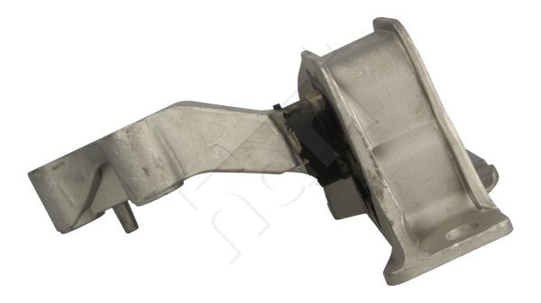 Variklio montavimas HART 358 773