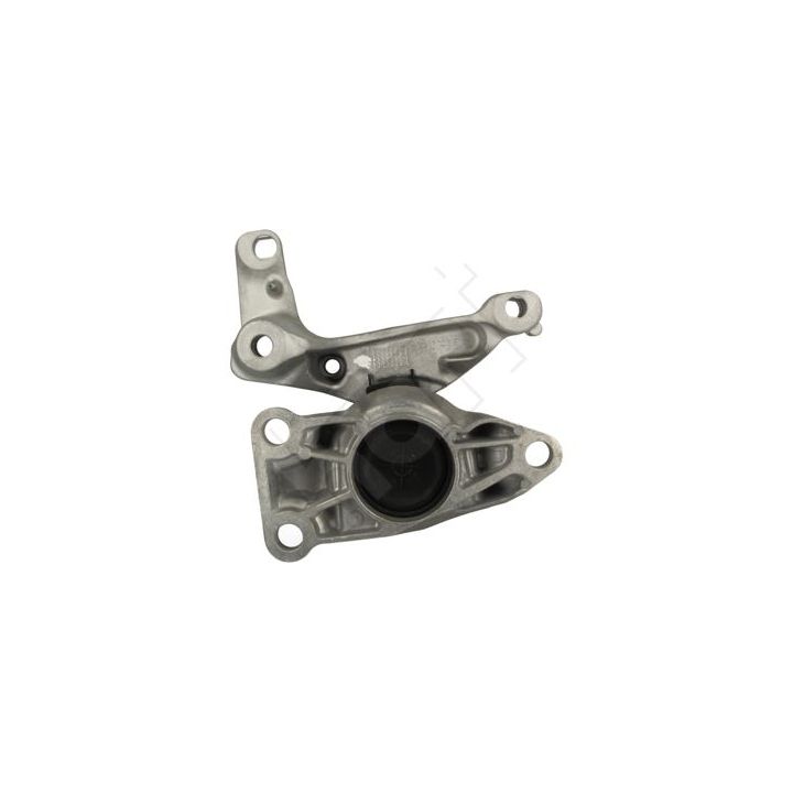 Variklio montavimas HART 358 801