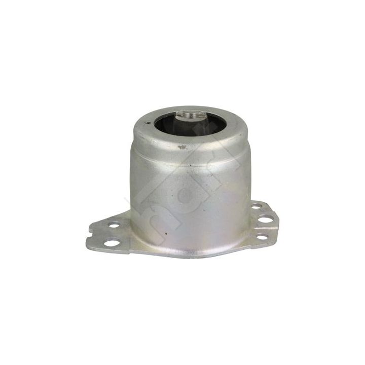 Variklio montavimas HART 358 808