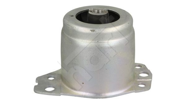 Variklio montavimas HART 358 808