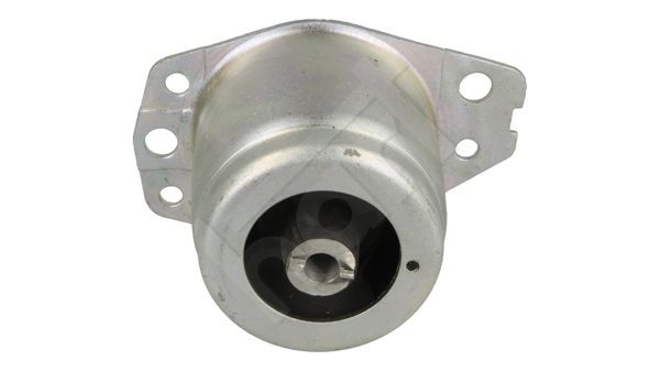 Variklio montavimas HART 358 808