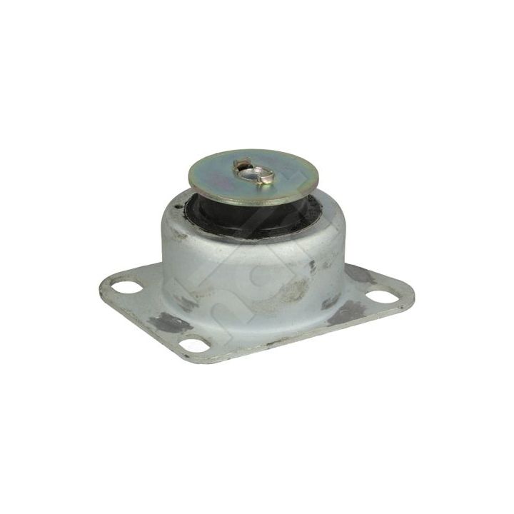 Variklio montavimas HART 358 812