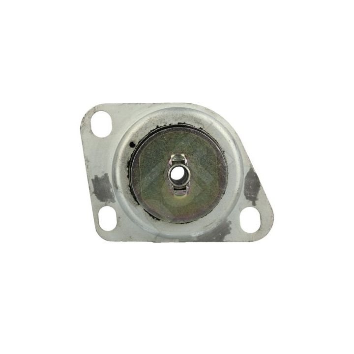 Variklio montavimas HART 358 812