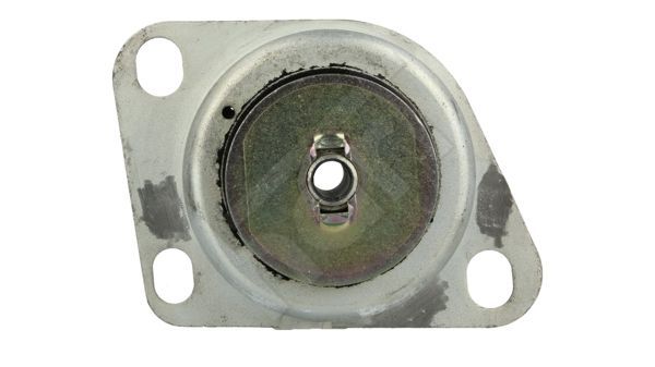 Variklio montavimas HART 358 812