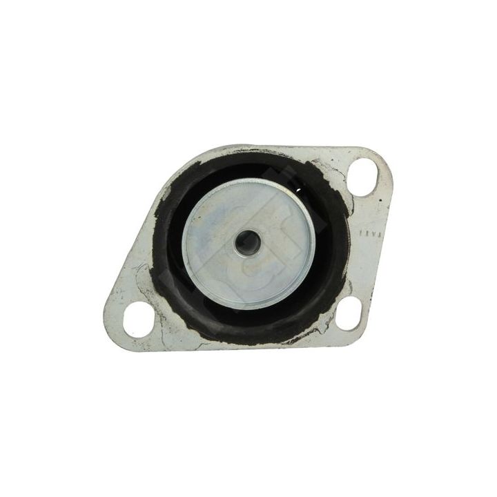 Variklio montavimas HART 358 812