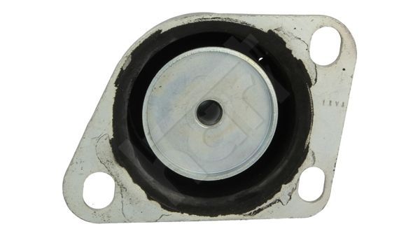 Variklio montavimas HART 358 812