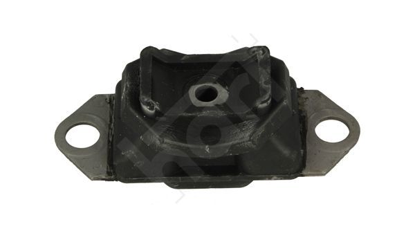 Variklio montavimas HART 362 866