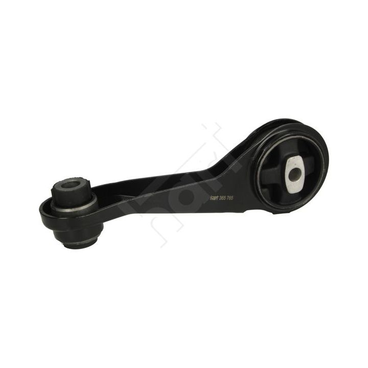 Variklio montavimas HART 365 765