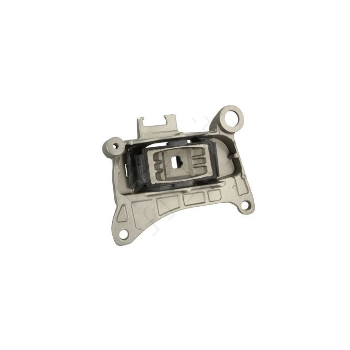 Variklio montavimas HART 389 976