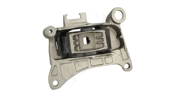 Variklio montavimas HART 389 976