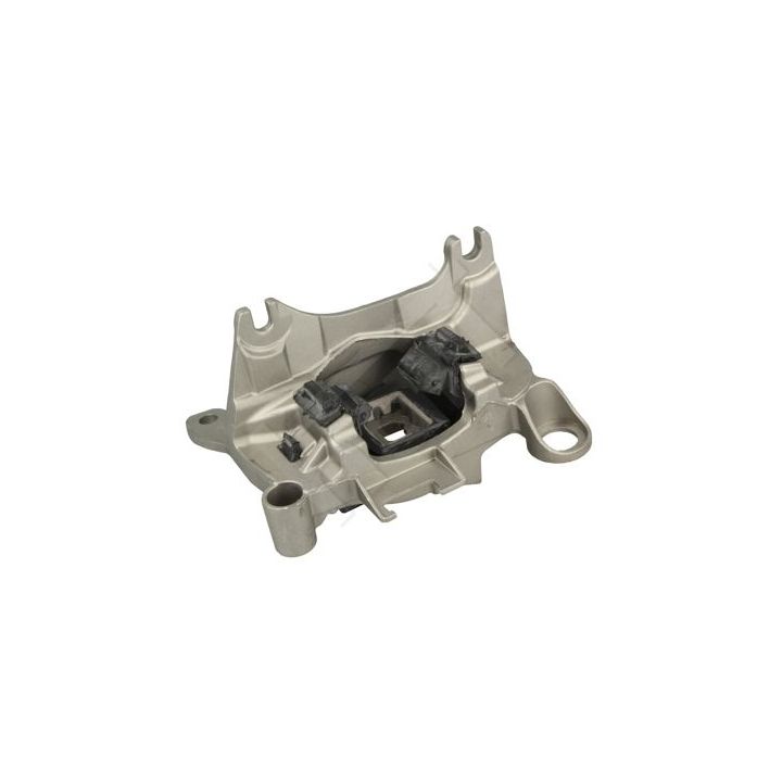 Variklio montavimas HART 389 976