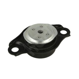 Variklio montavimas HART 389 983