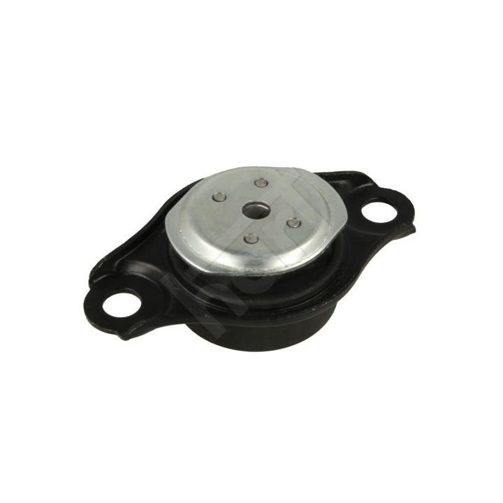 Variklio montavimas HART 389 983