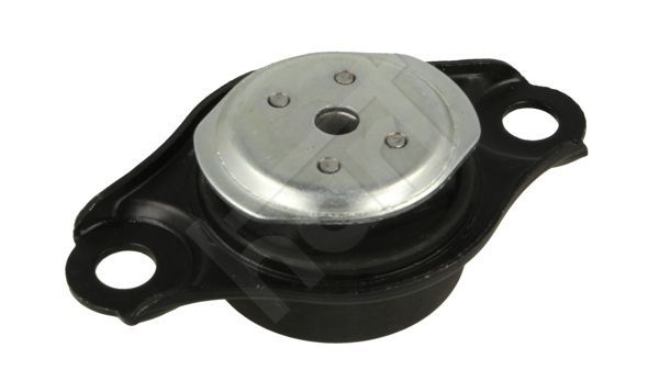 Variklio montavimas HART 389 983