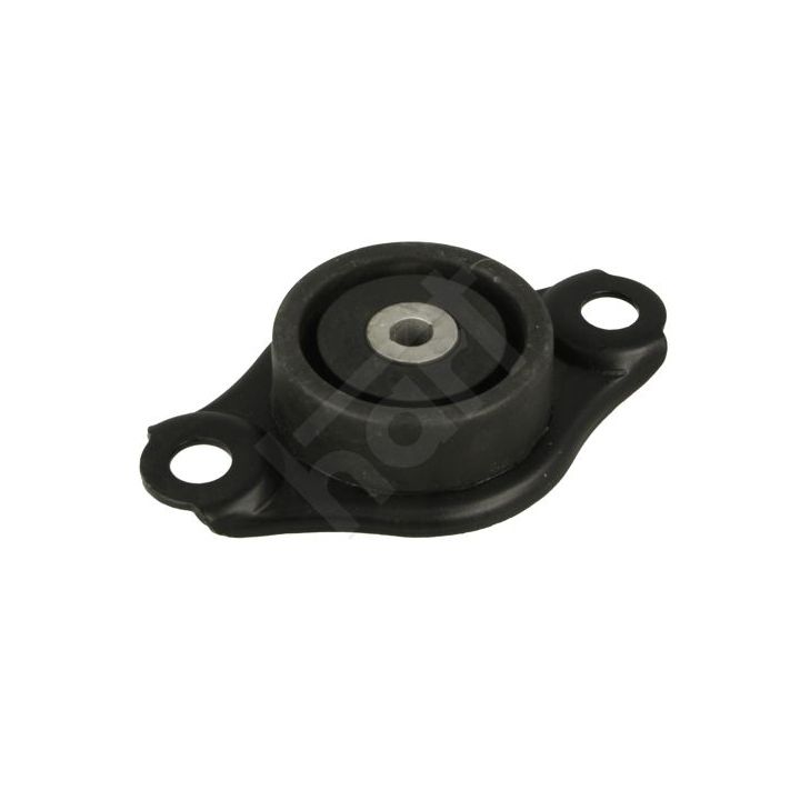 Variklio montavimas HART 389 983