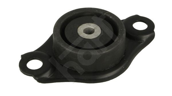 Variklio montavimas HART 389 983