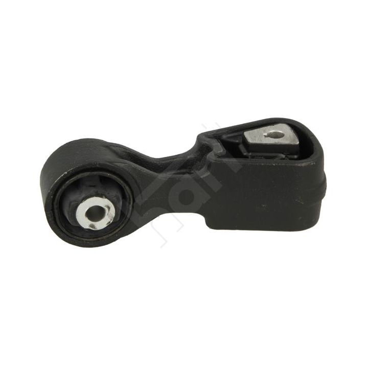 Variklio montavimas HART 439 576