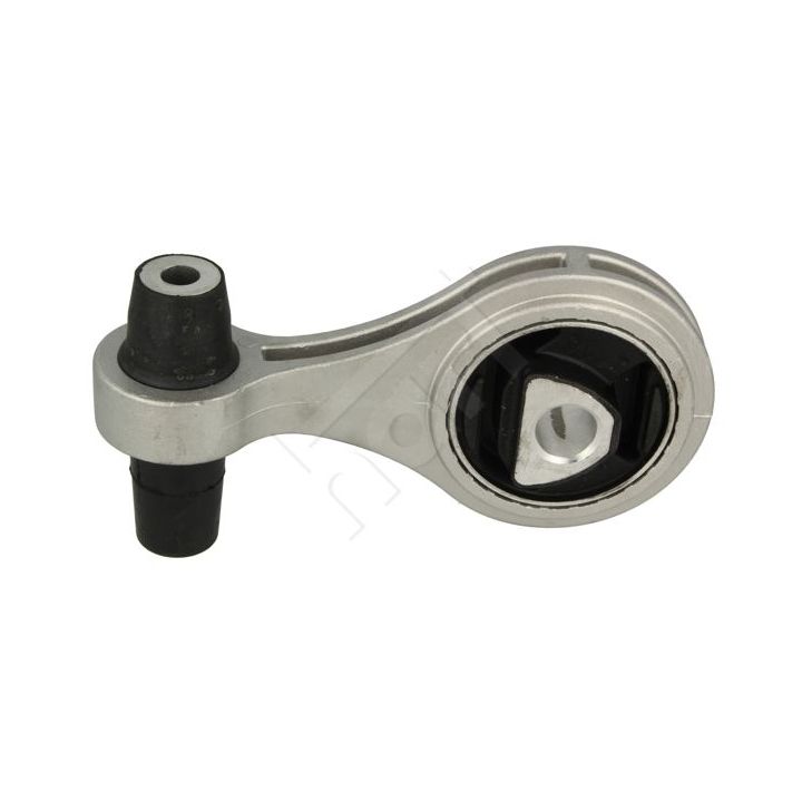 Montavimas, neautomatinė transmisija HART 442 450