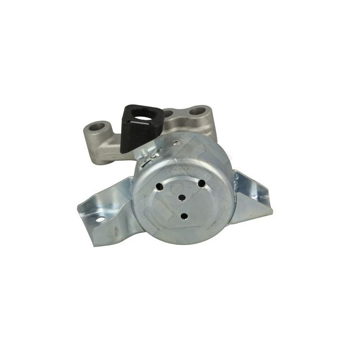 Variklio montavimas HART 478 880