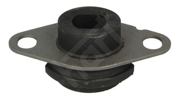 Montavimas, neautomatinė transmisija HART 346 414