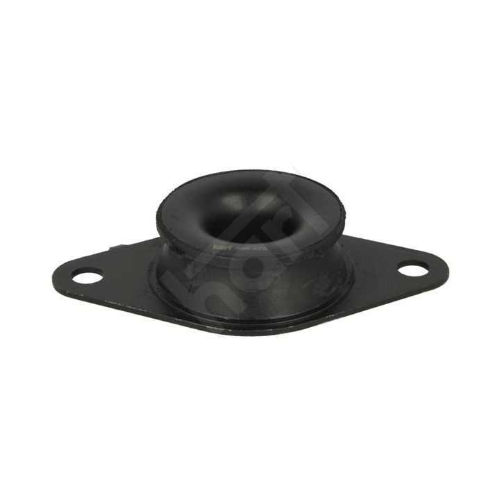 Montavimas, neautomatinė transmisija HART 346 475