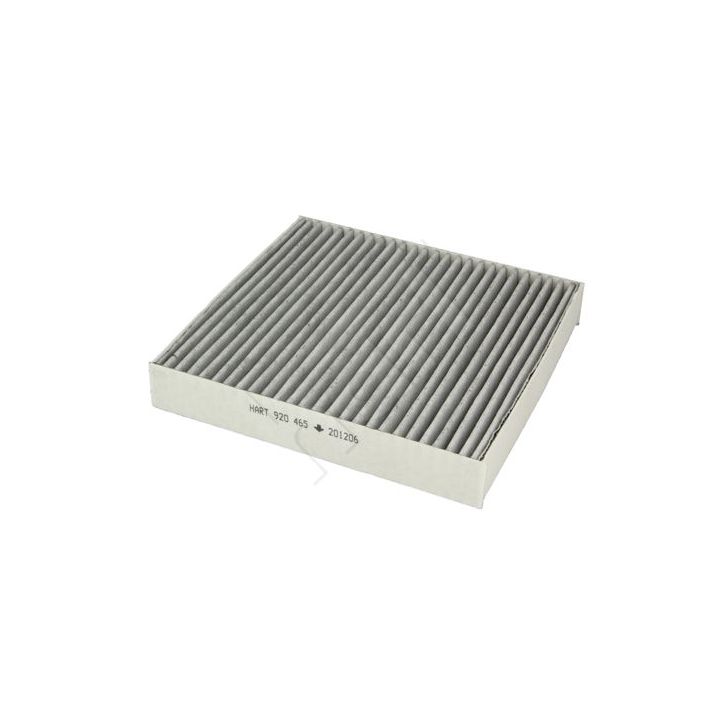 Filtras, salono oras HART 920 465
