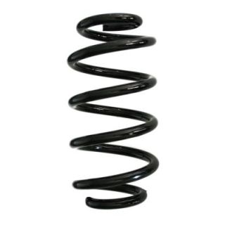 Spyruoklė SPIDAN GKNW10099