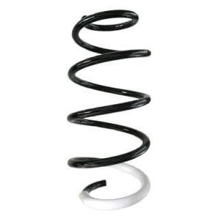 Spyruoklė SPIDAN GKNW10129