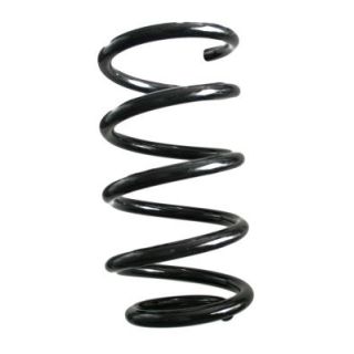 Spyruoklė SPIDAN GKNW10134