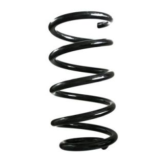 Spyruoklė SPIDAN GKNW10135