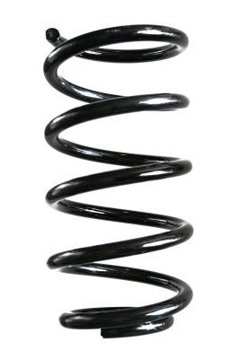 Spyruoklė SPIDAN GKNW10143