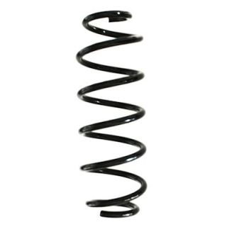 Spyruoklė SPIDAN GKNW10160