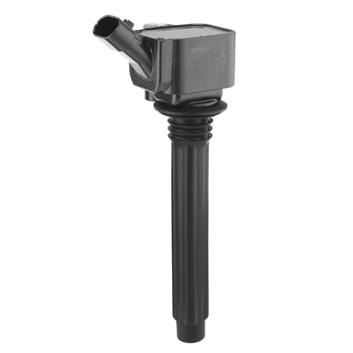 Ritė, uždegimas BorgWarner (BERU) ZS619