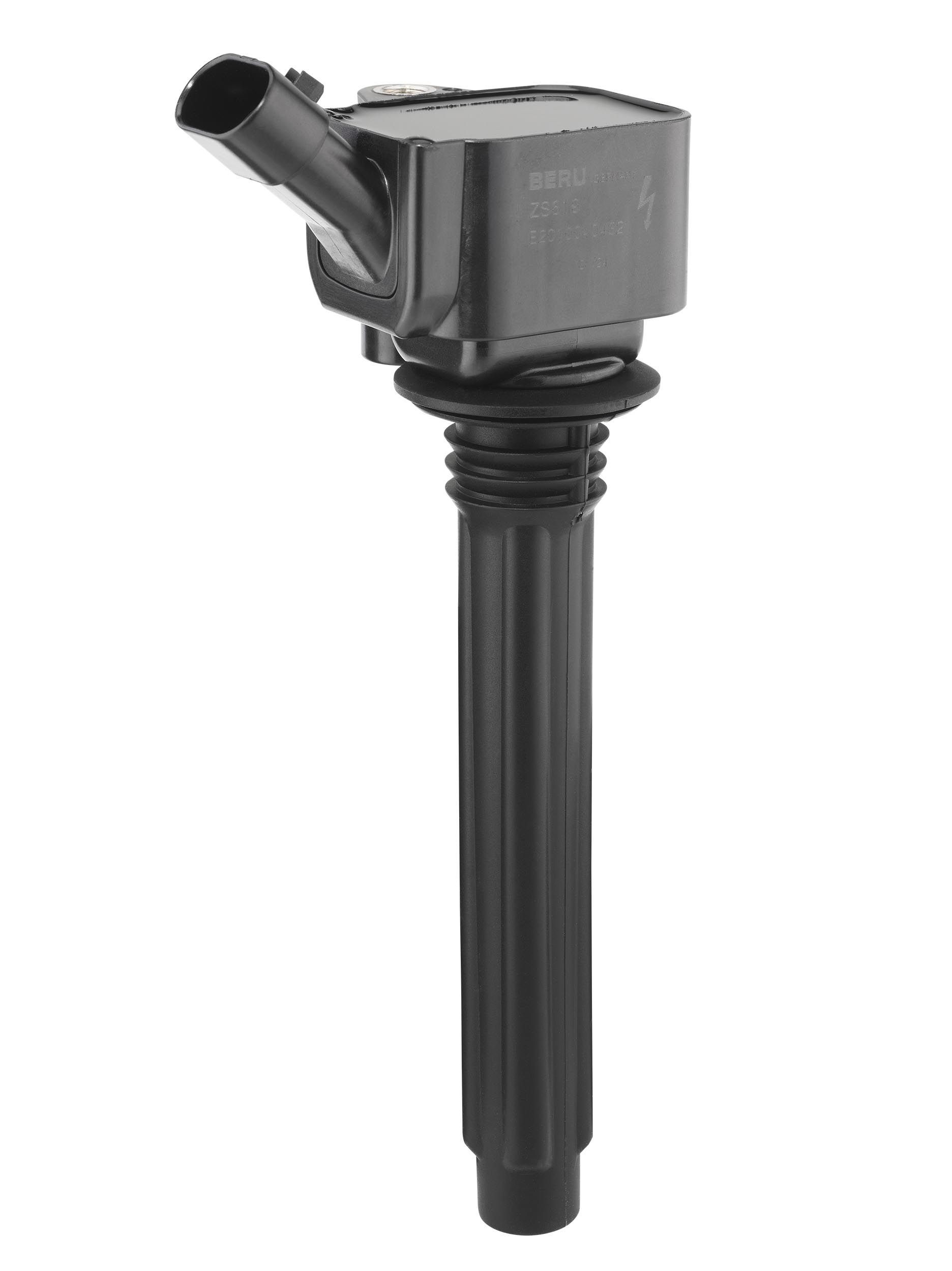 Ritė, uždegimas BorgWarner (BERU) ZS619