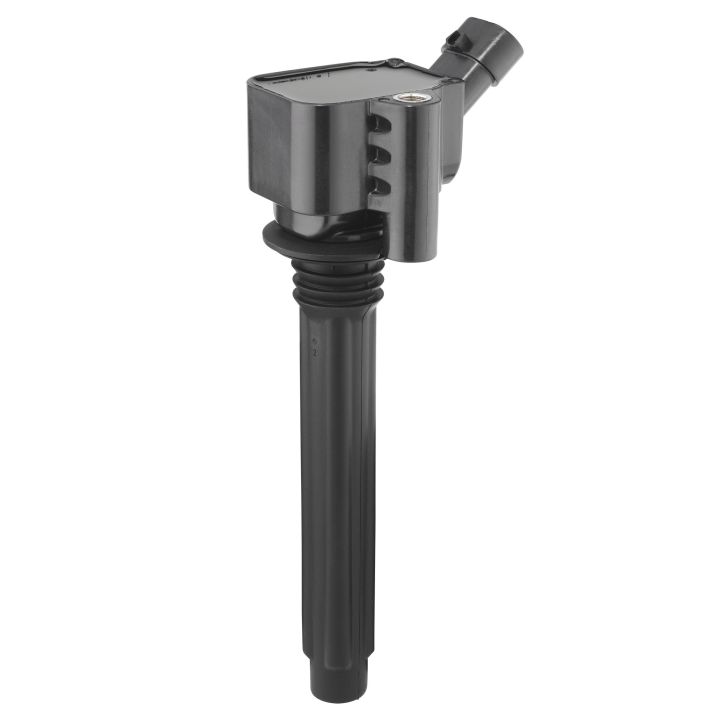 Ritė, uždegimas BorgWarner (BERU) ZS619