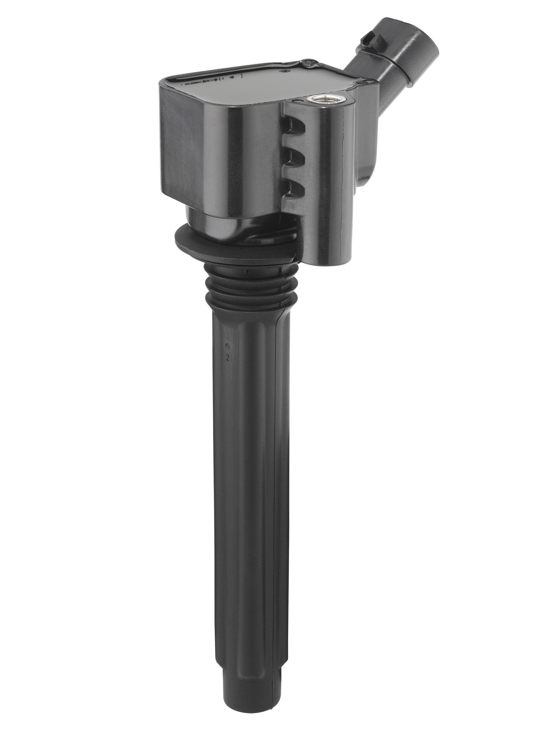 Ritė, uždegimas BorgWarner (BERU) ZS619