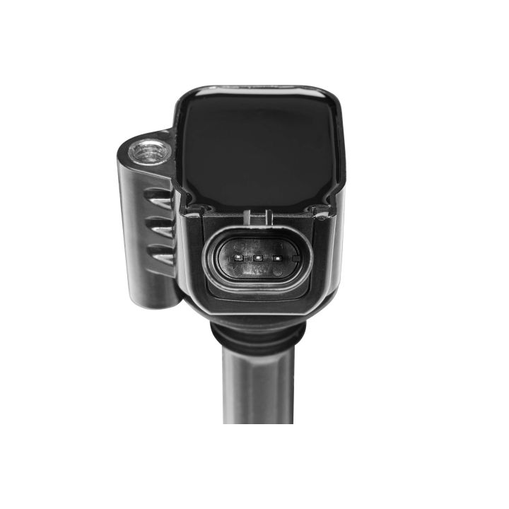 Ritė, uždegimas BorgWarner (BERU) ZS619