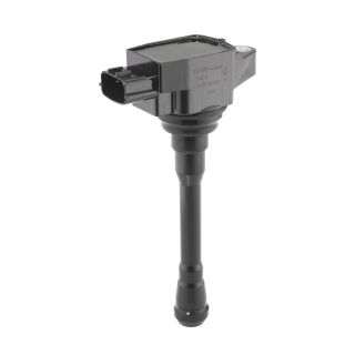 Ritė, uždegimas BorgWarner (BERU) ZS623