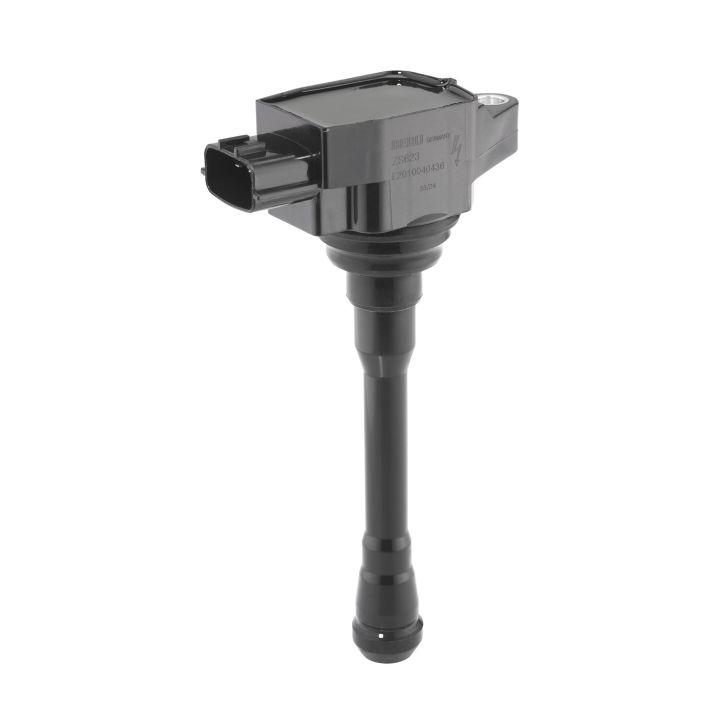 Ritė, uždegimas BorgWarner (BERU) ZS623