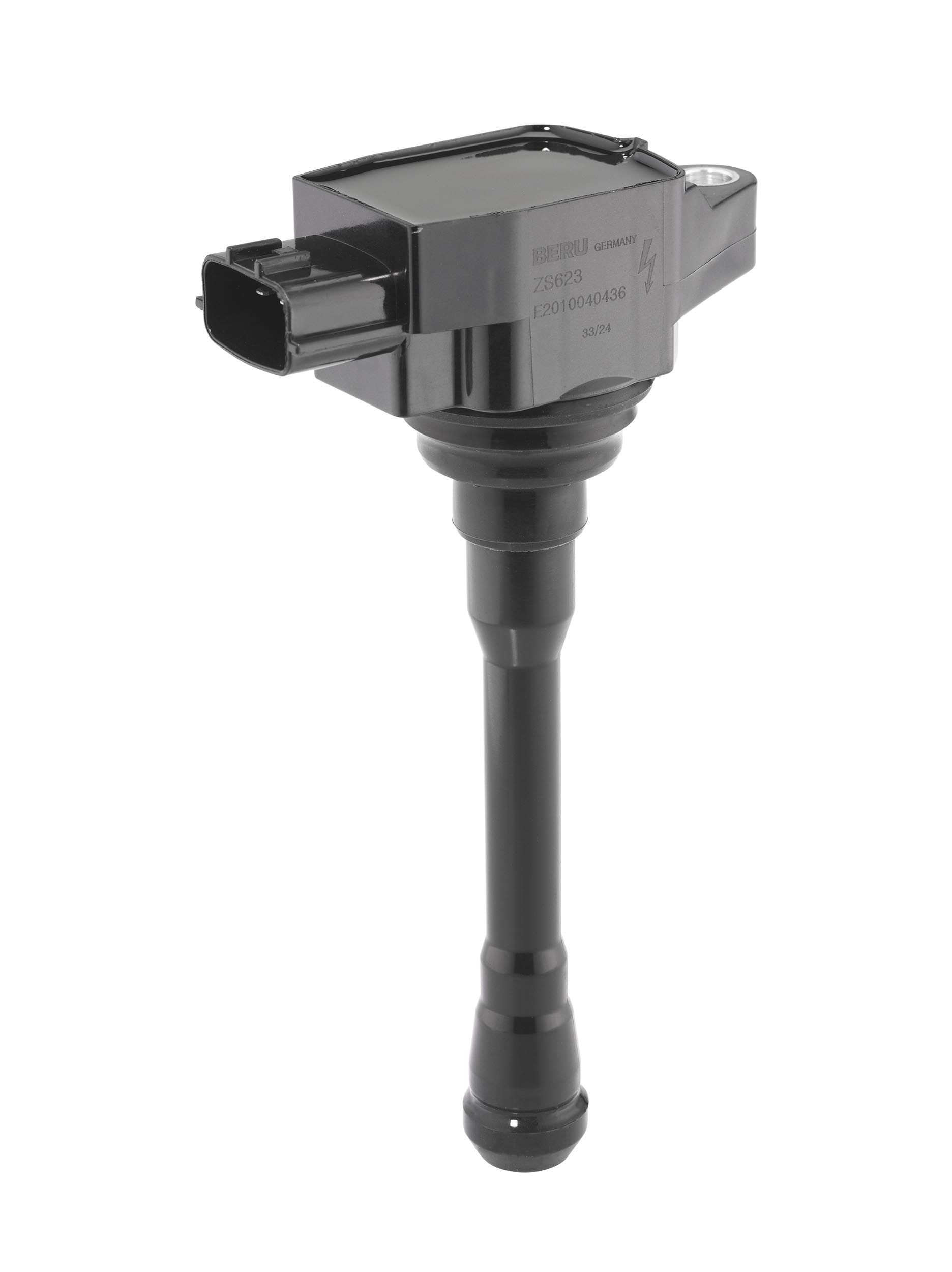 Ritė, uždegimas BorgWarner (BERU) ZS623