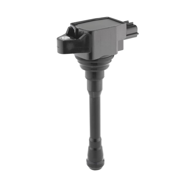 Ritė, uždegimas BorgWarner (BERU) ZS623