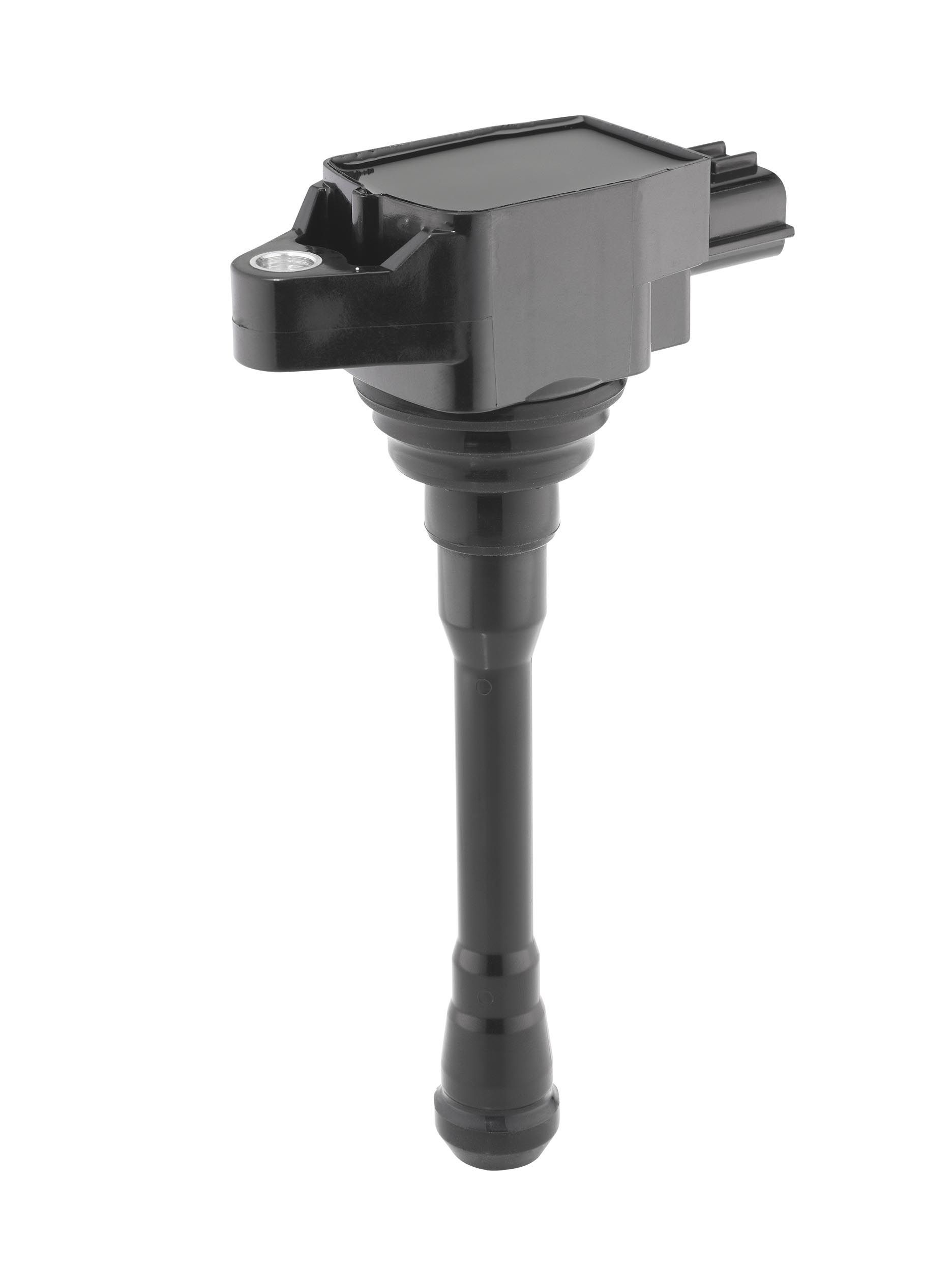 Ritė, uždegimas BorgWarner (BERU) ZS623