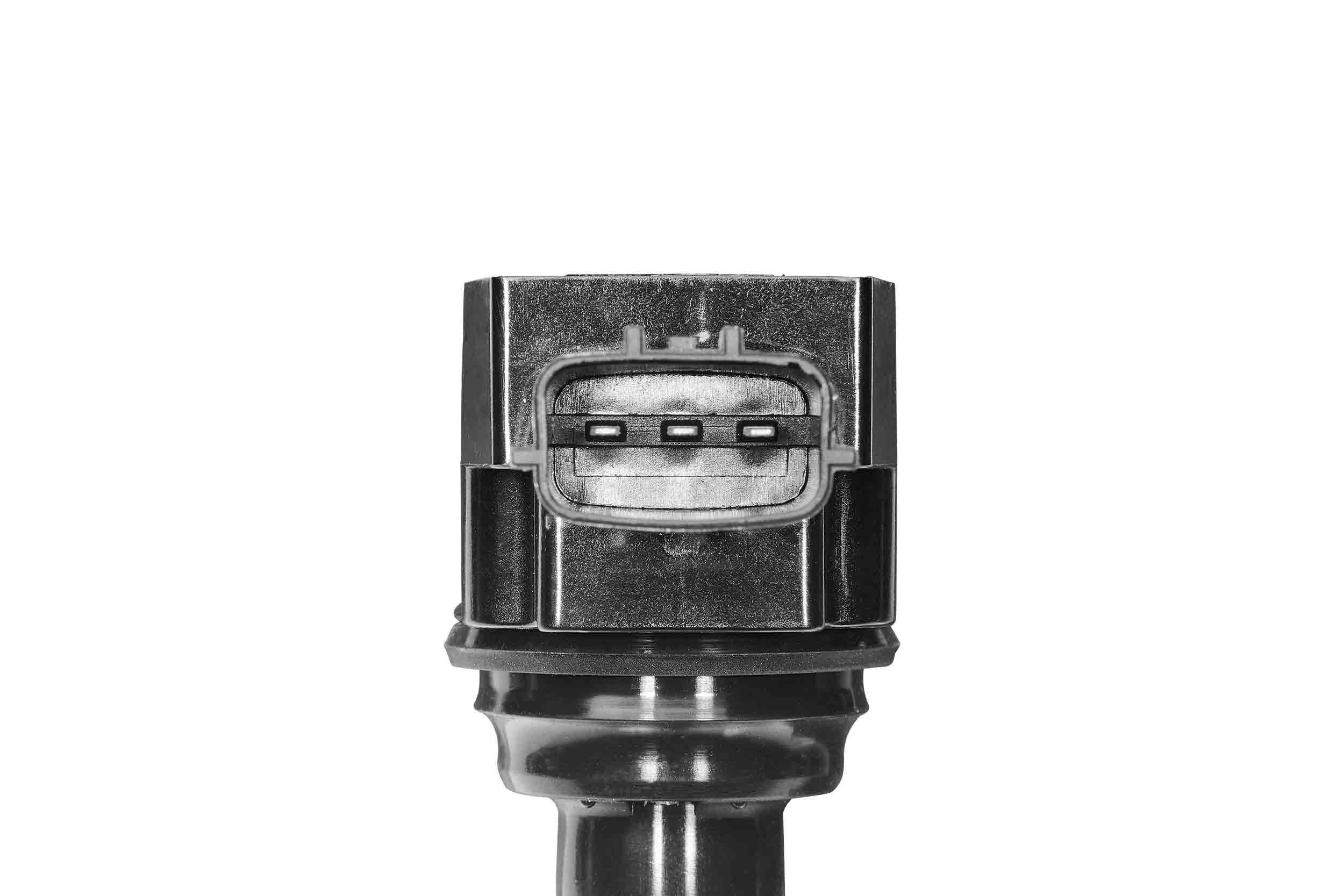 Ritė, uždegimas BorgWarner (BERU) ZS623