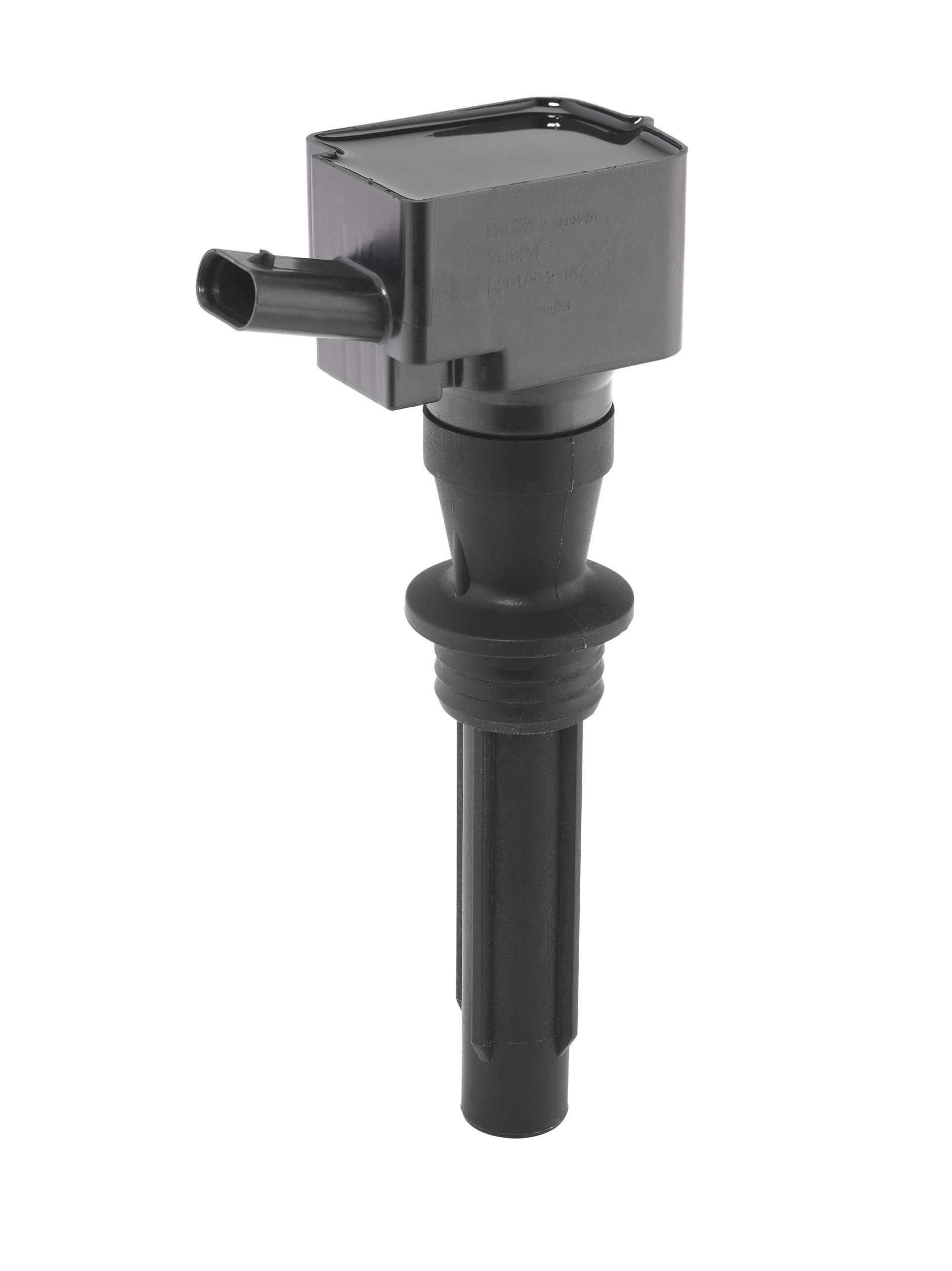 Ritė, uždegimas BorgWarner (BERU) ZS624