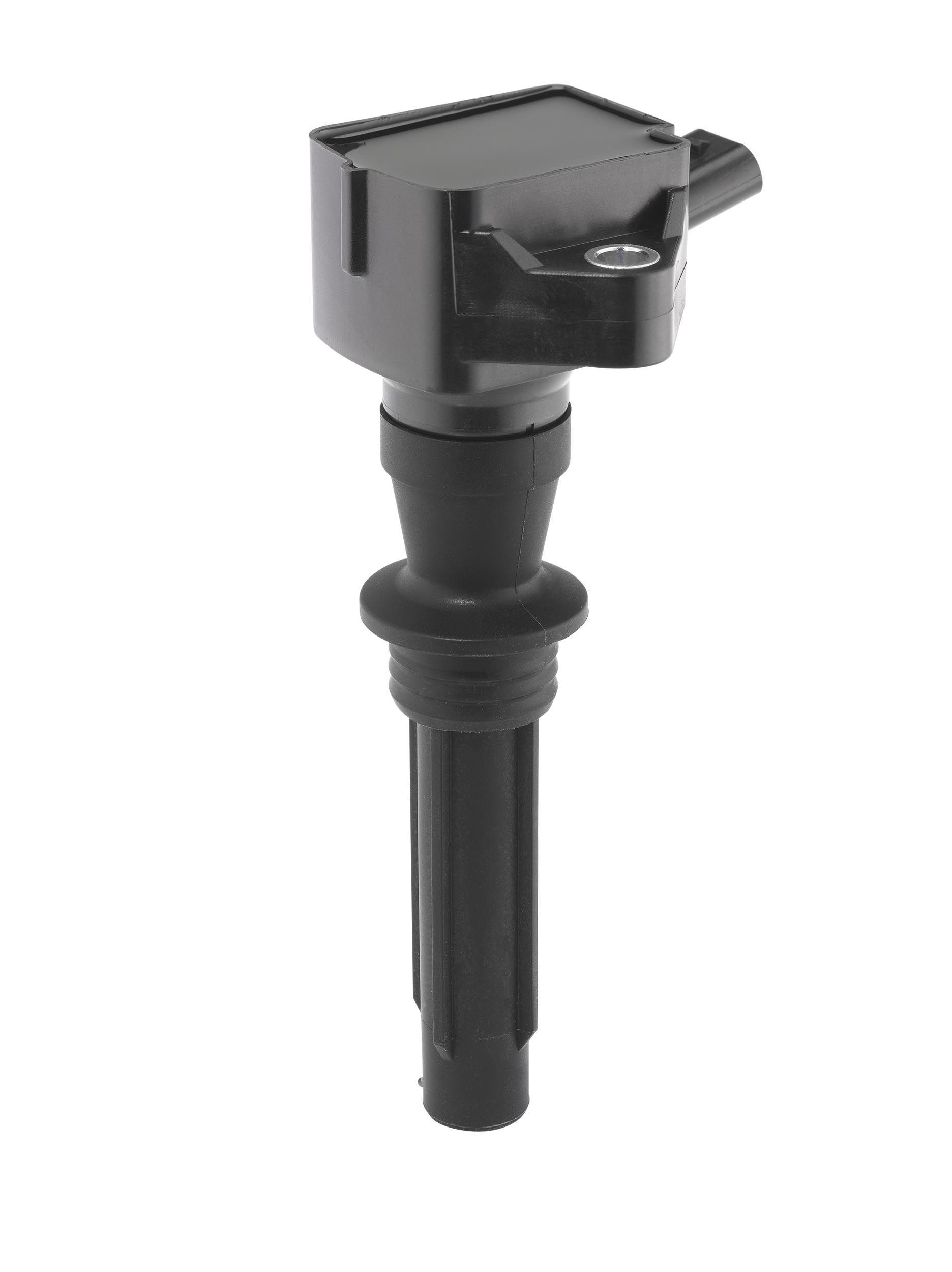 Ritė, uždegimas BorgWarner (BERU) ZS624