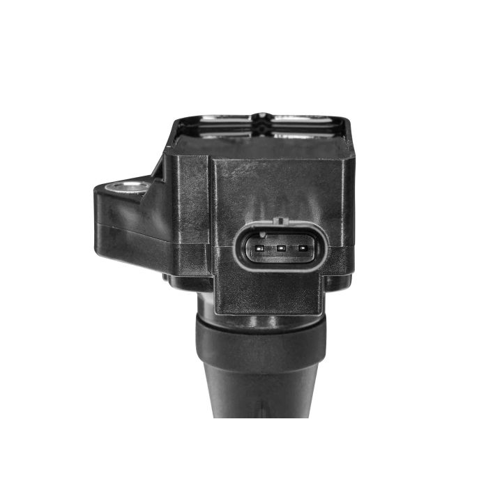 Ritė, uždegimas BorgWarner (BERU) ZS624