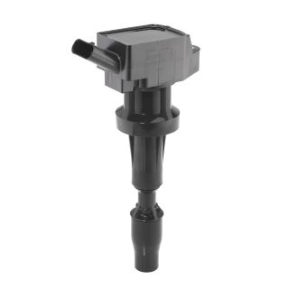 Ritė, uždegimas BorgWarner (BERU) ZSE262