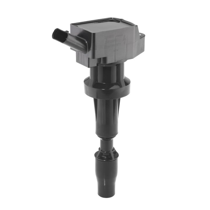 Ritė, uždegimas BorgWarner (BERU) ZSE262