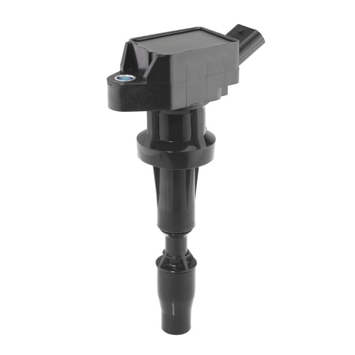 Ritė, uždegimas BorgWarner (BERU) ZSE262